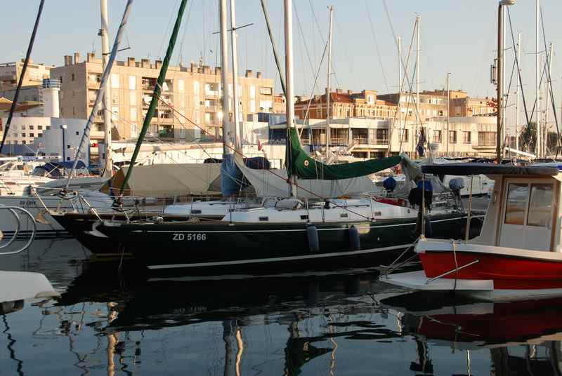[Immagine: 2012813221258_ALpa a Zara 1.jpg]